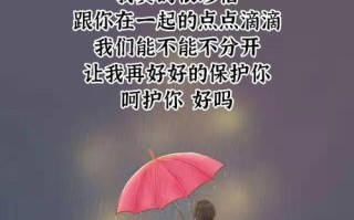 我能否挽回你（面对无能和分手的双重打击）