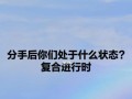 分手后被拉黑如何有效挽回前男友？有哪些策略可以尝试？
