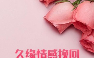 挽回不了的爱情，如何面对（拥抱过去）