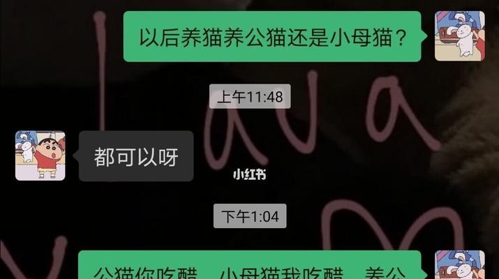 异地恋如何保持聊天话题（掌握15个好玩实用的聊天话题）-第3张图片-爱昵情感