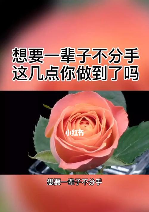 矛盾分手后的挽回之道（15个步骤教你成功挽回前任）-第1张图片-爱昵情感